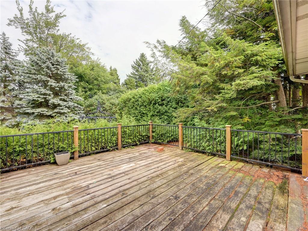 251 Third Line Property Photo 39