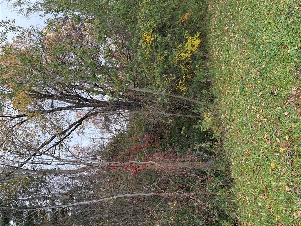 Pt Lot 27 Cedar Creek Concession Property Photo 1