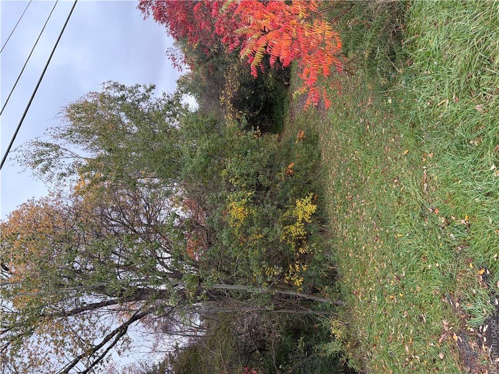 Pt Lot 27 Cedar Creek Concession Property Photo 2