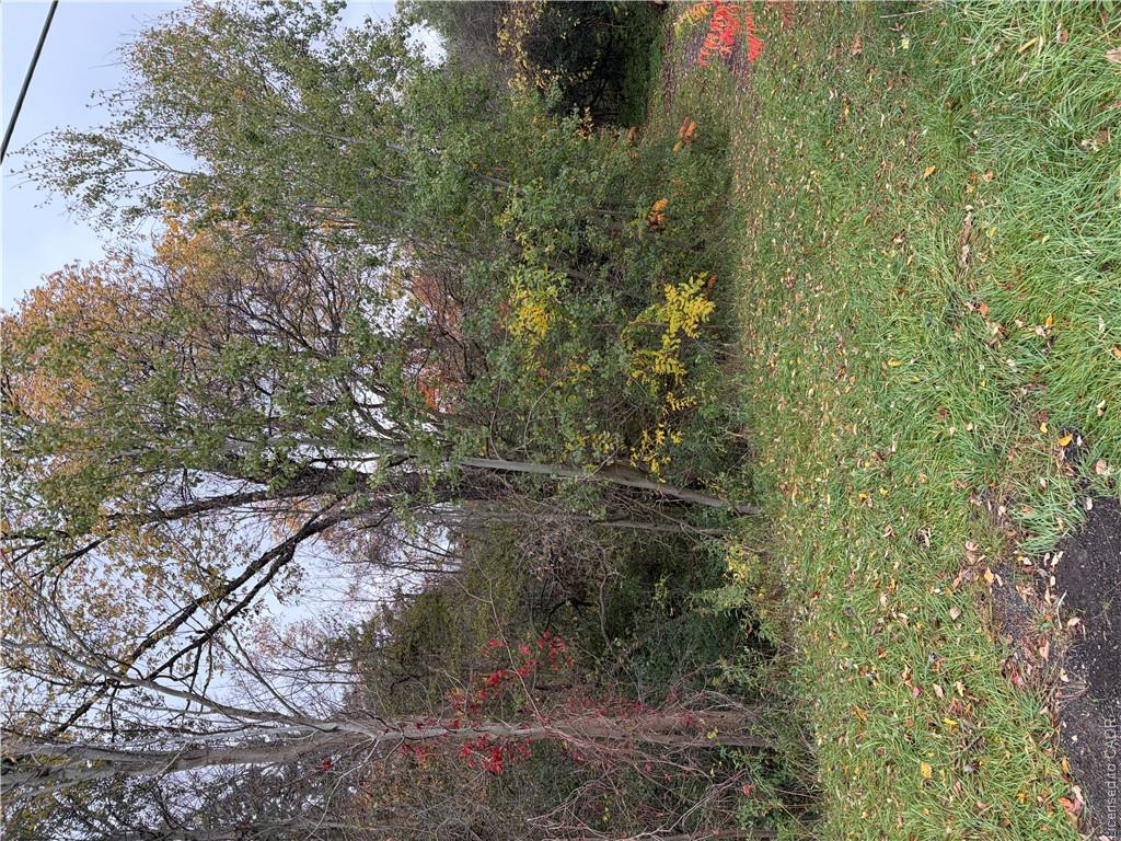 Pt Lot 27 Cedar Creek Concession Property Photo 3