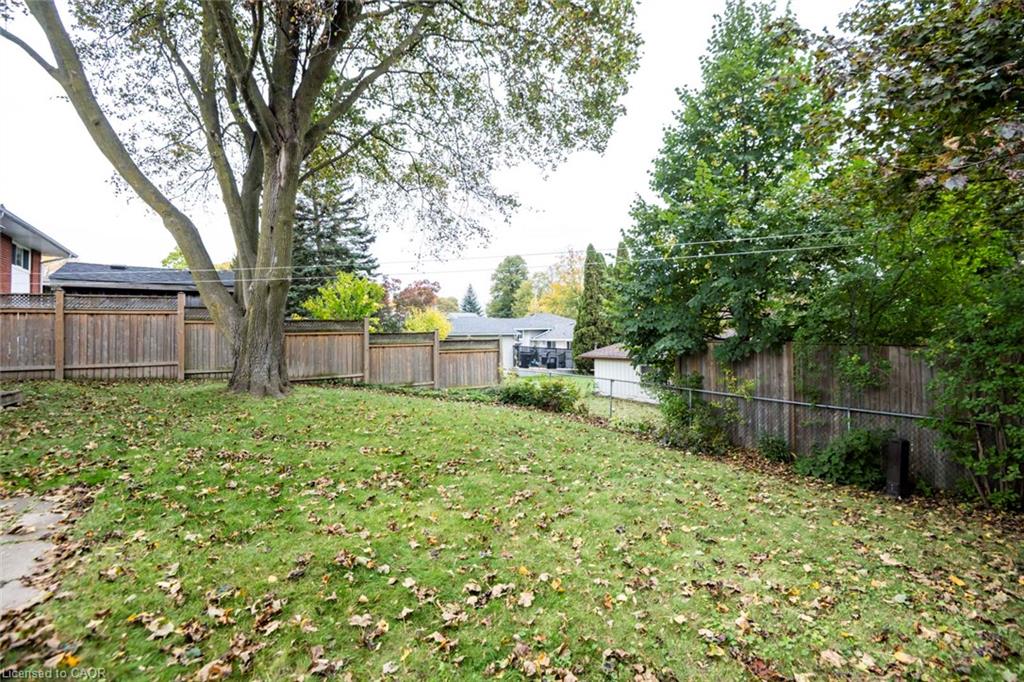 11 Duncairn Avenue Property Photo 41