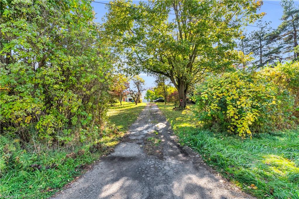 11858 32nd Side Road Property Photo 24