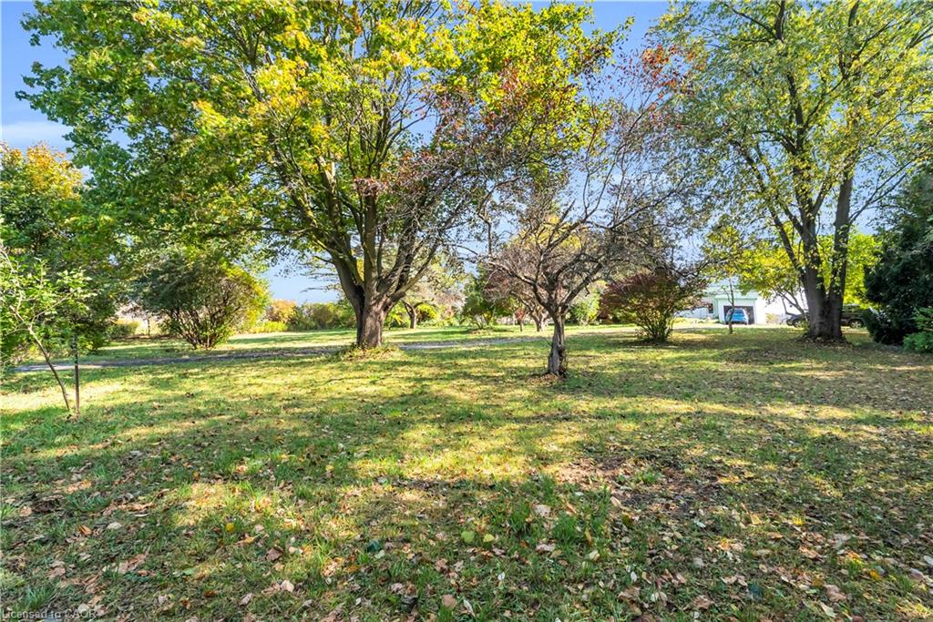 11858 32nd Side Road Property Photo 25