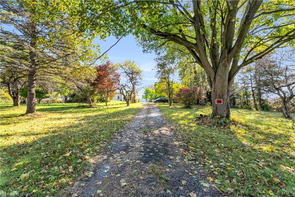 11858 32nd Side Road Property Photo 27