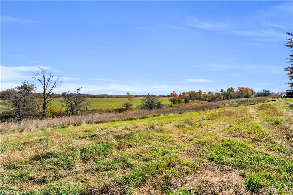 11858 32nd Side Road Property Photo 38