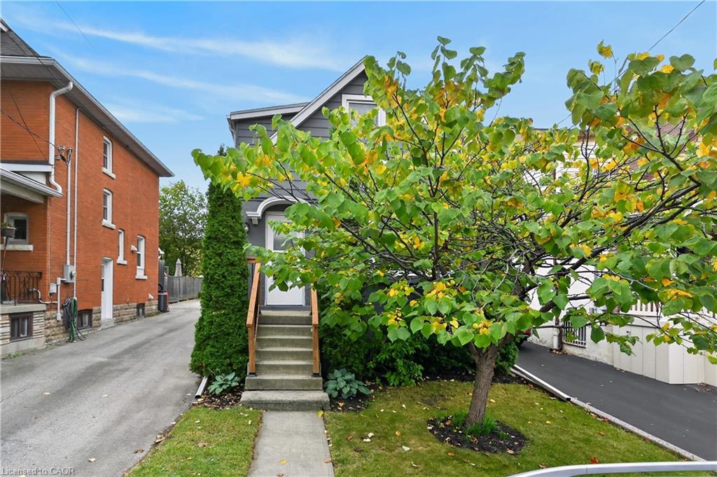 247 Homewood Avenue Property Photo 3