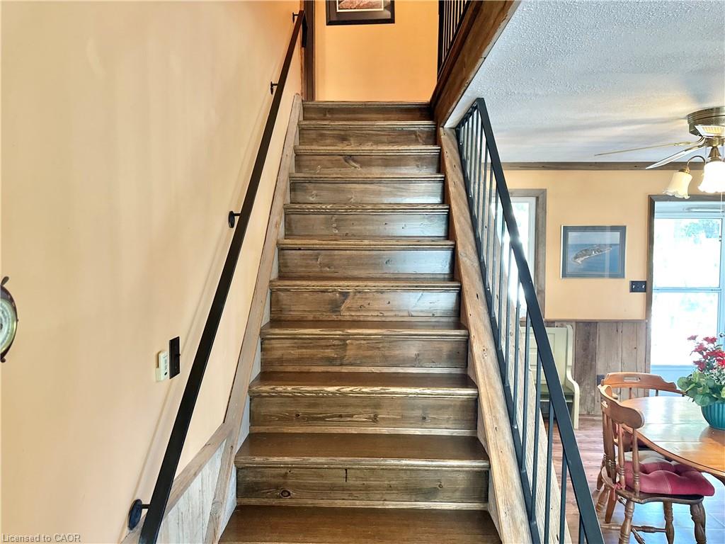 11 Reserve Street Property Photo 23