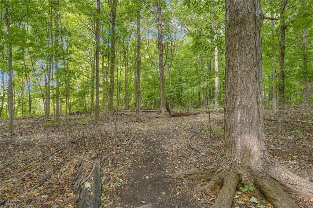 188 Hostein Drive Property Photo 42