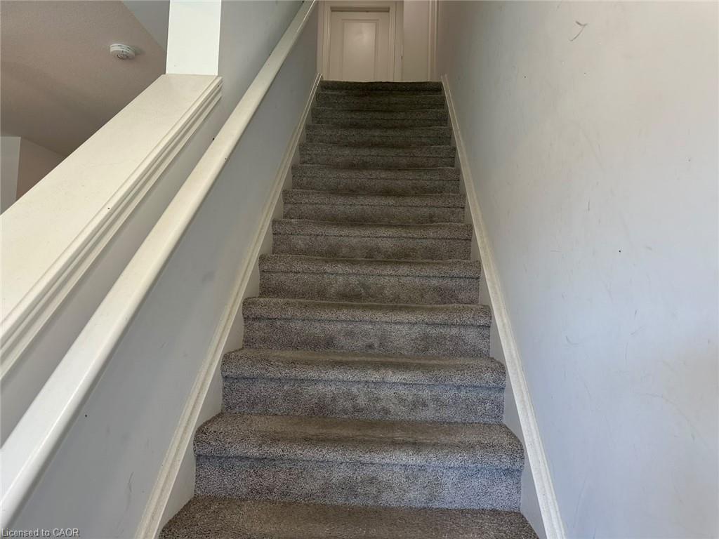 3894 Auckland Avenue Property Photo 6