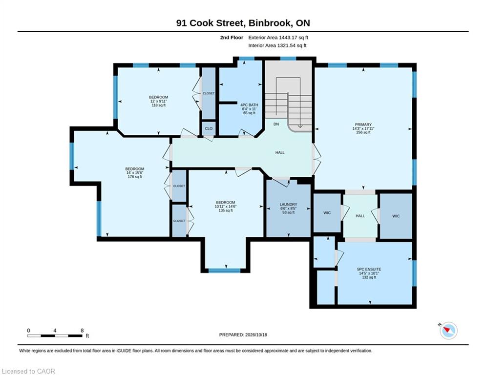 91 Cook Street Property Photo 34