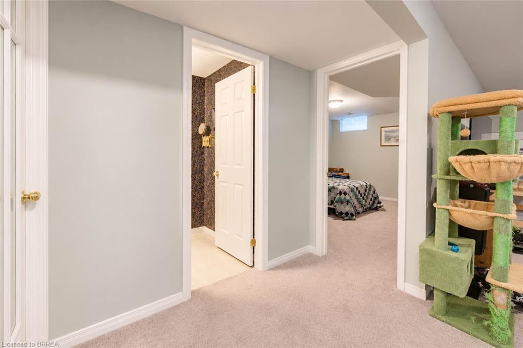 1-10 Courtland Drive Property Photo 32
