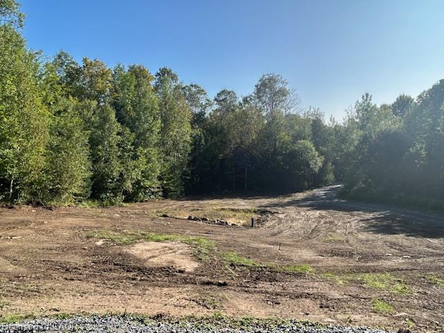 3275 Musclow-greenview Road Property Photo 6