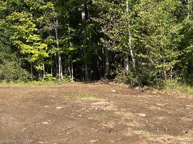 3275 Musclow-greenview Road Property Photo 14