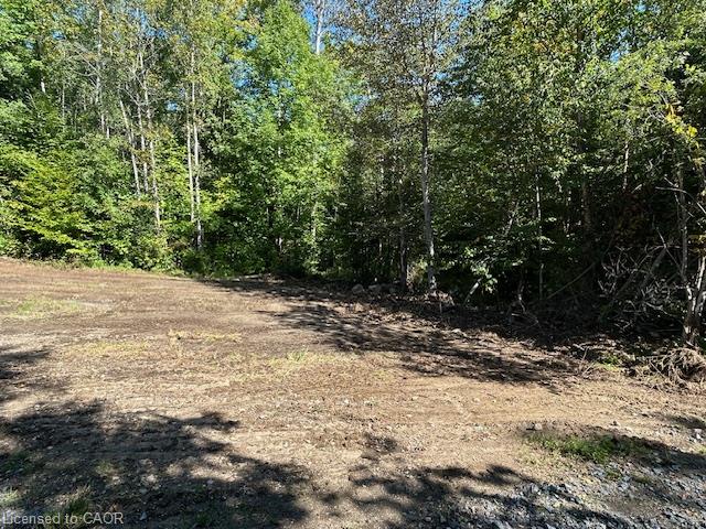 3275 Musclow-greenview Road Property Photo 15