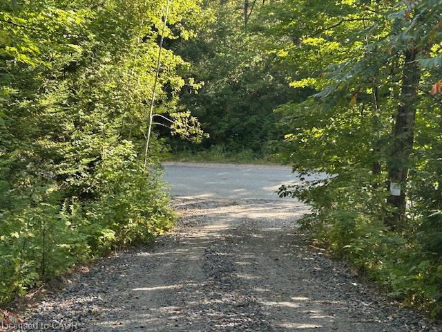 3275 Musclow-greenview Road Property Photo 16