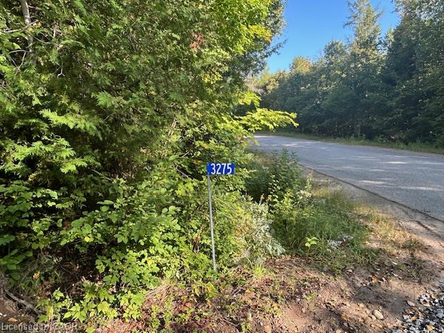3275 Musclow-greenview Road Property Photo 17