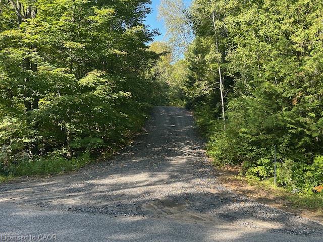 3275 Musclow-greenview Road Property Photo 19