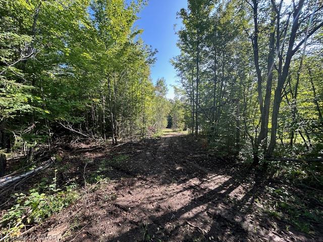 3275 Musclow-greenview Road Property Photo 29