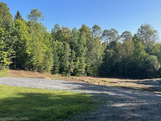3275 Musclow-greenview Road Property Photo 32