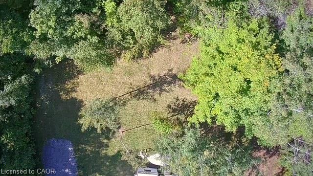 3275 Musclow-greenview Road Property Photo 34