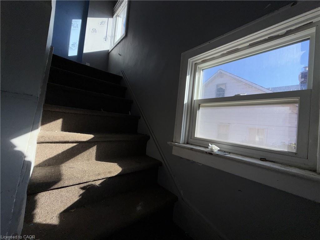 36 Wallace Terrace Property Photo 8