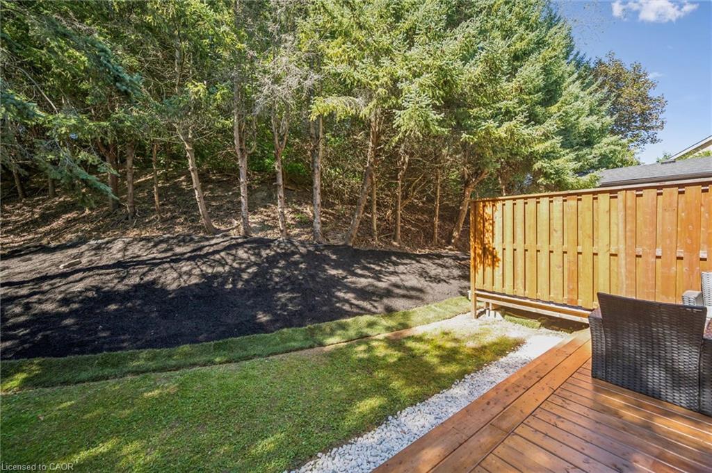 28 Borden Street Property Photo 33