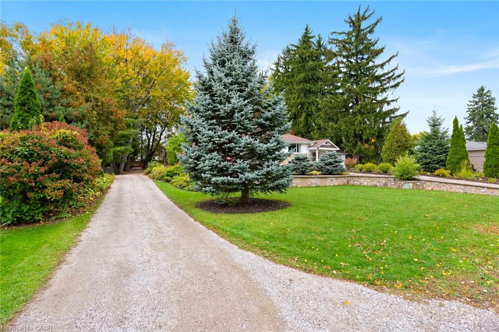 284 Mapledene Drive Property Photo 4