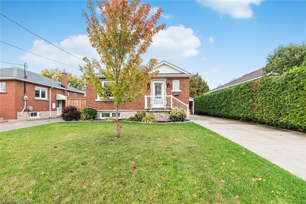 43 Alderney Avenue Property Photo 1
