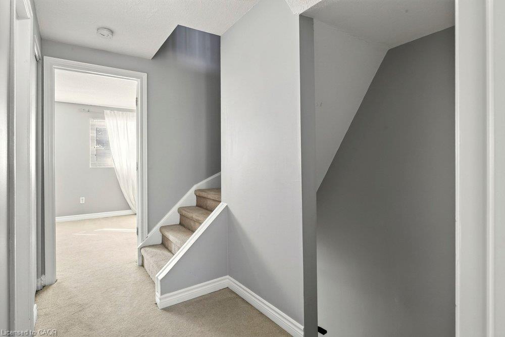 C-496 Grey Street Property Photo 29