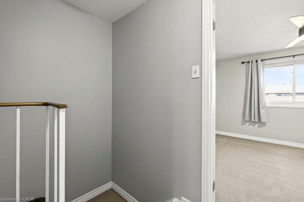 C-496 Grey Street Property Photo 37
