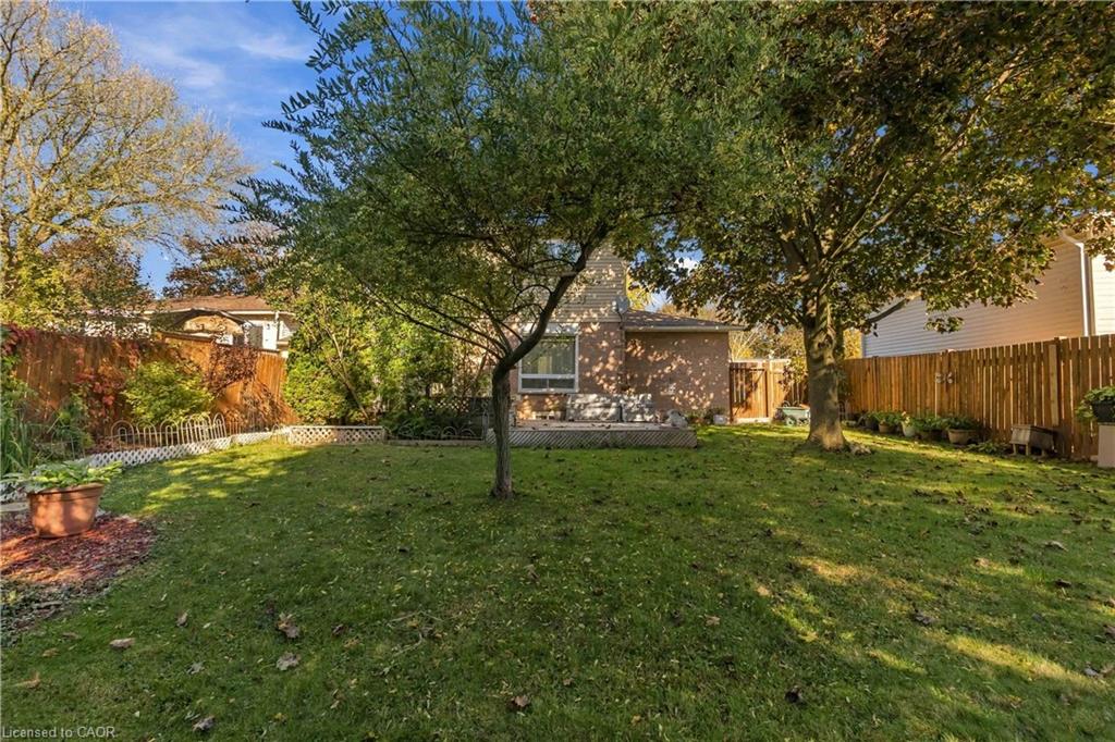 24 Jasper Street Property Photo 44
