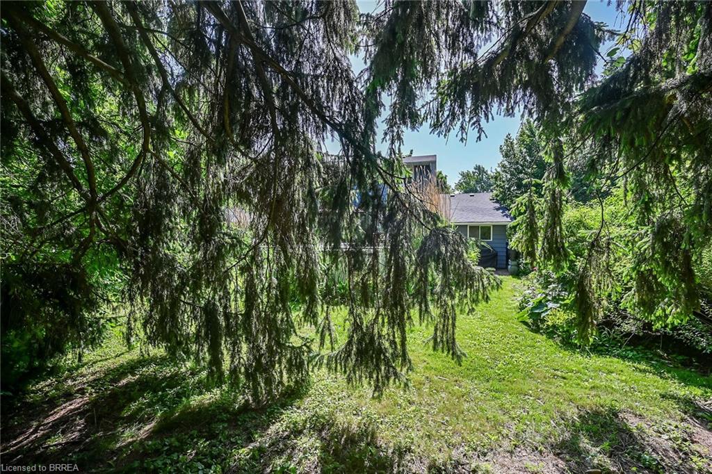 56 Forsythe Avenue Property Photo 37