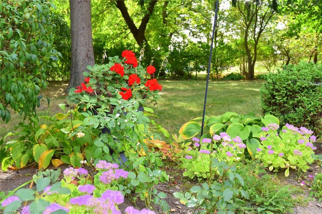 107 Tollgate Road Property Photo 39