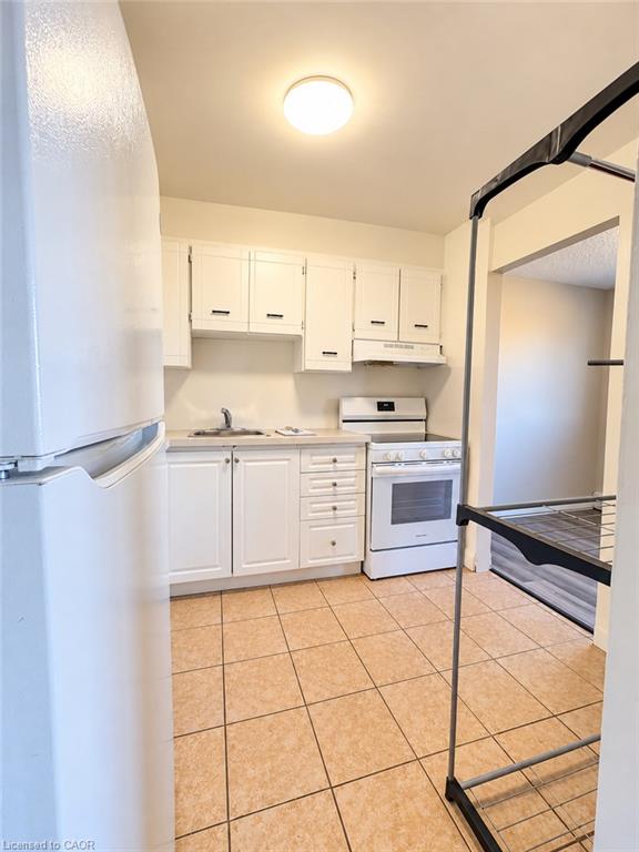 507-183 Lisgar Avenue Property Photo 7