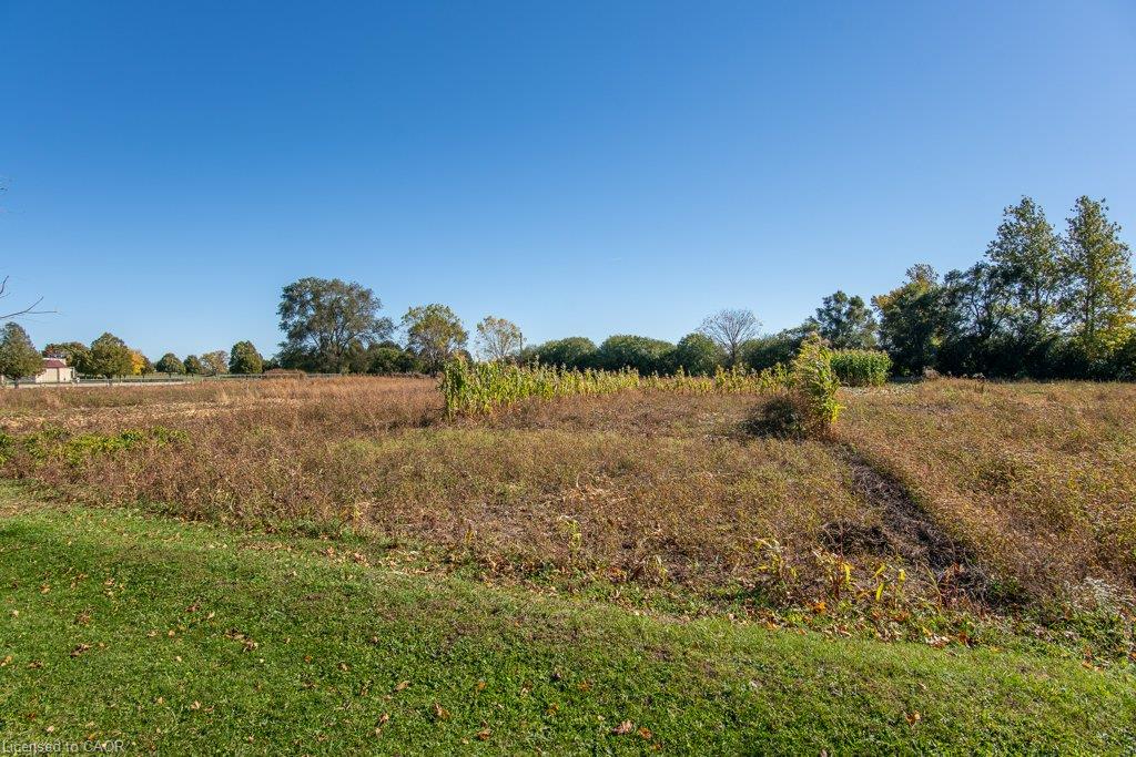 169 Schweitzer Street Property Photo 35