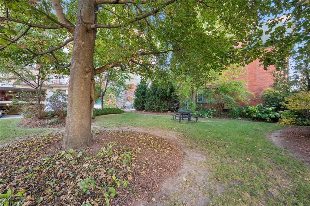 507-20 St George Street Property Photo 20