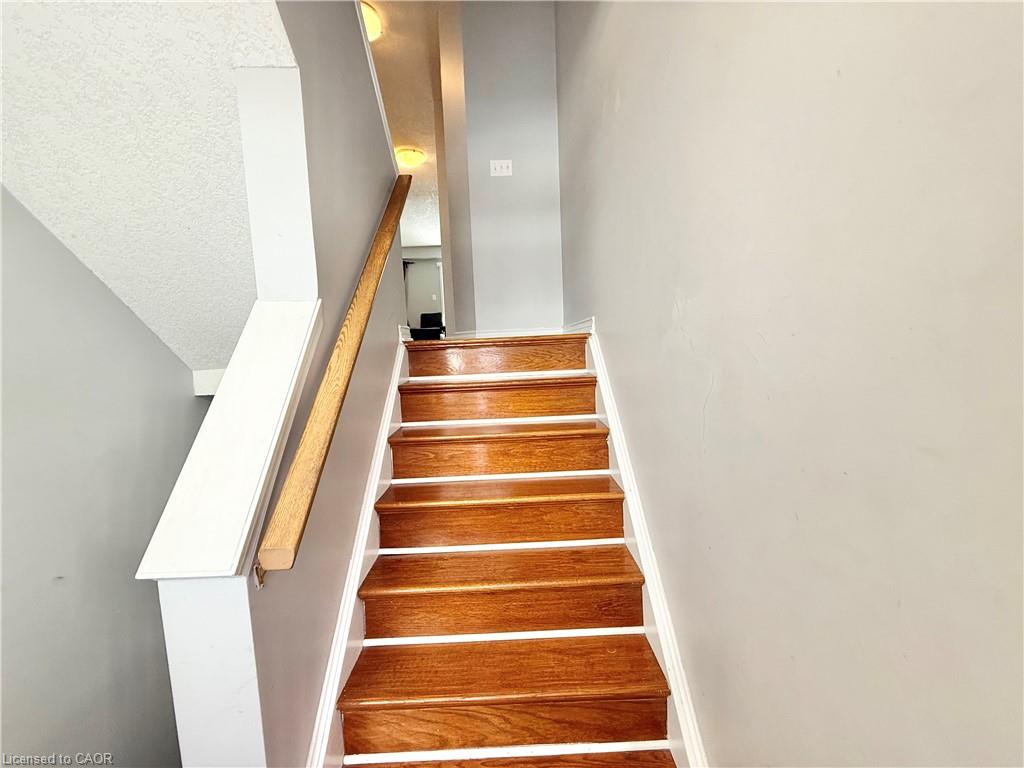 22 Madeleine Street Property Photo 1