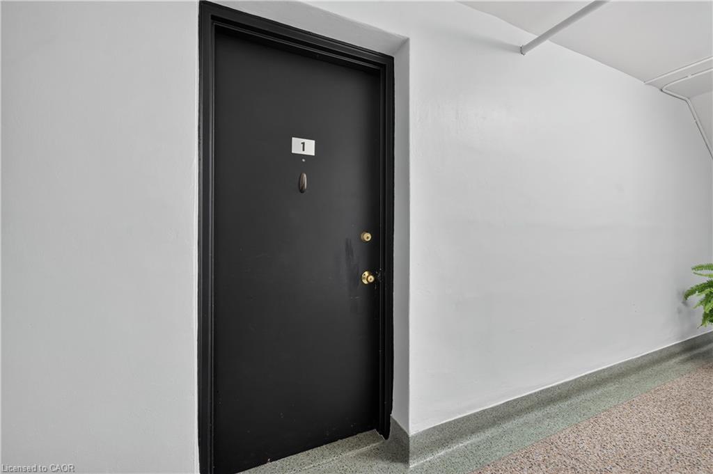 1-2420 New Street Property Photo 5