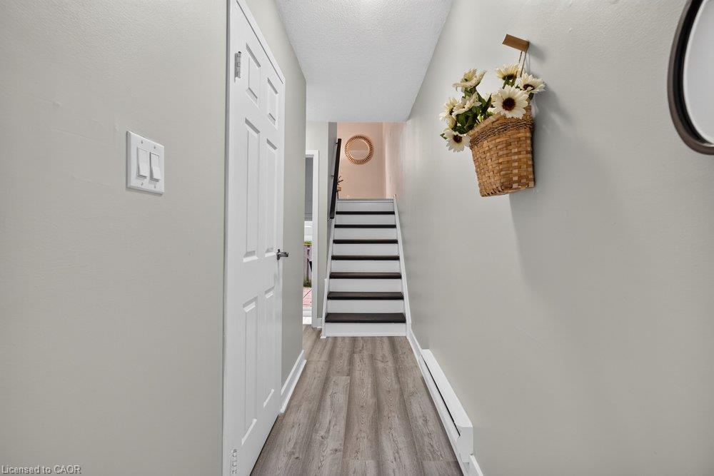 21 Rosedale Court Property Photo 13