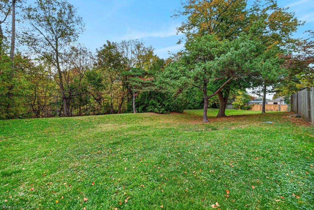 21 Rosedale Court Property Photo 41