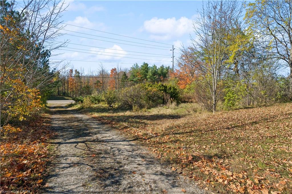 8350 Highway 7 Property Photo 3