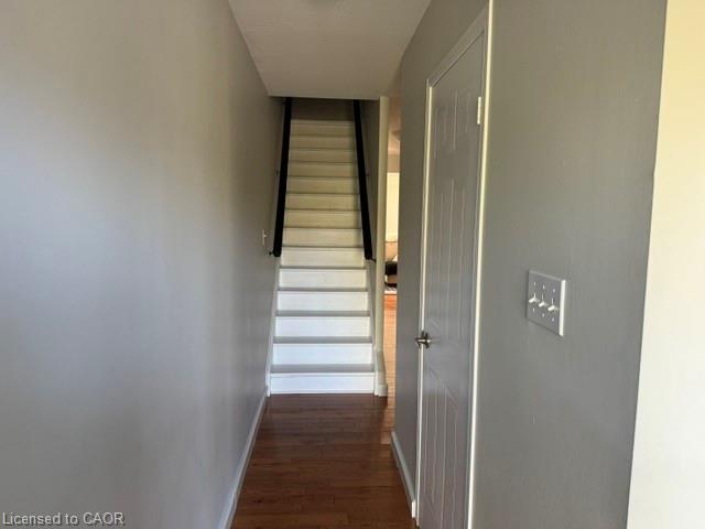 16-169 Bismark Drive Property Photo 5