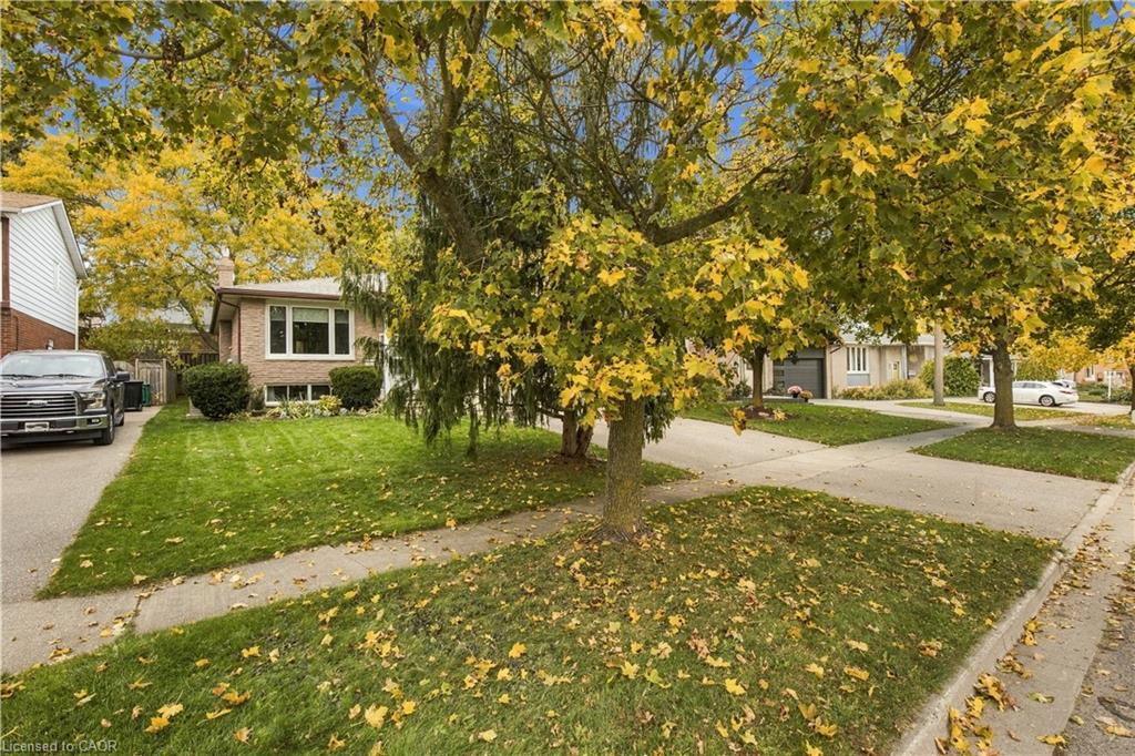 30 Carlyle Place Property Photo 5