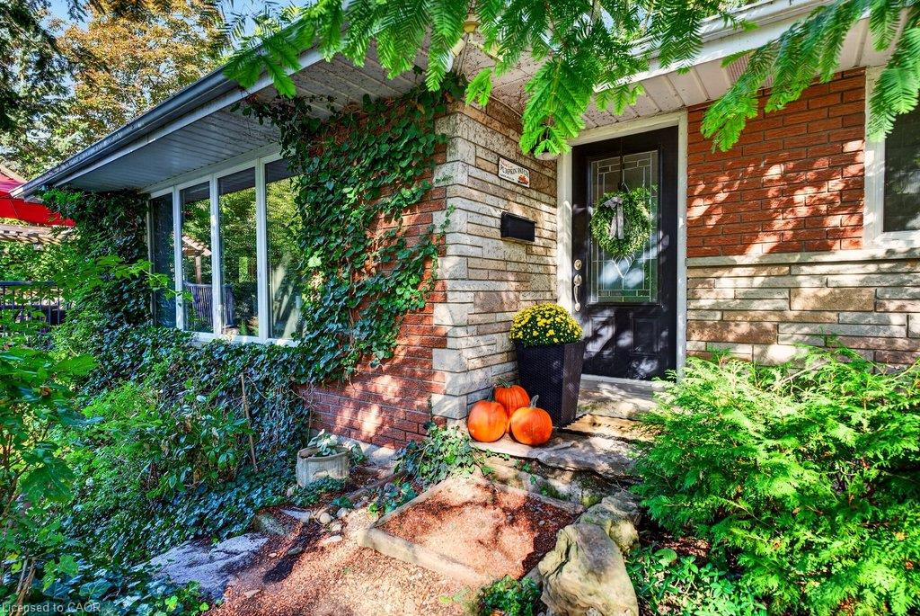 6 Rosebough Street Property Photo 1