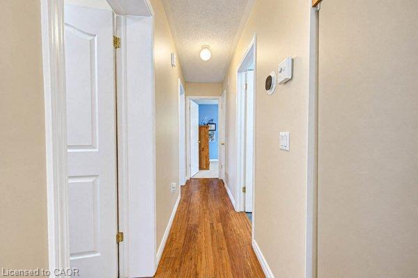 111 Clarene Avenue Property Photo 16