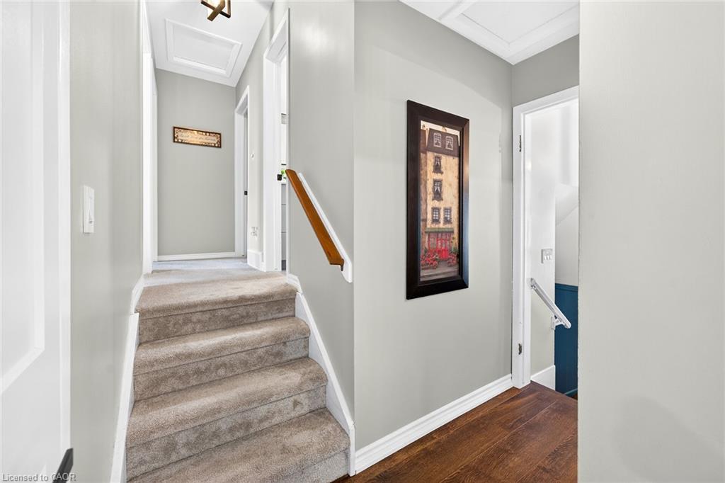 3 Jill Court Property Photo 19