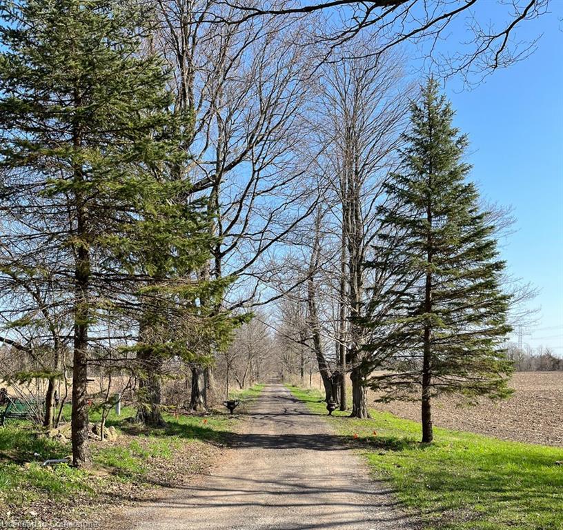 1457 97 Regional Road Property Photo 18