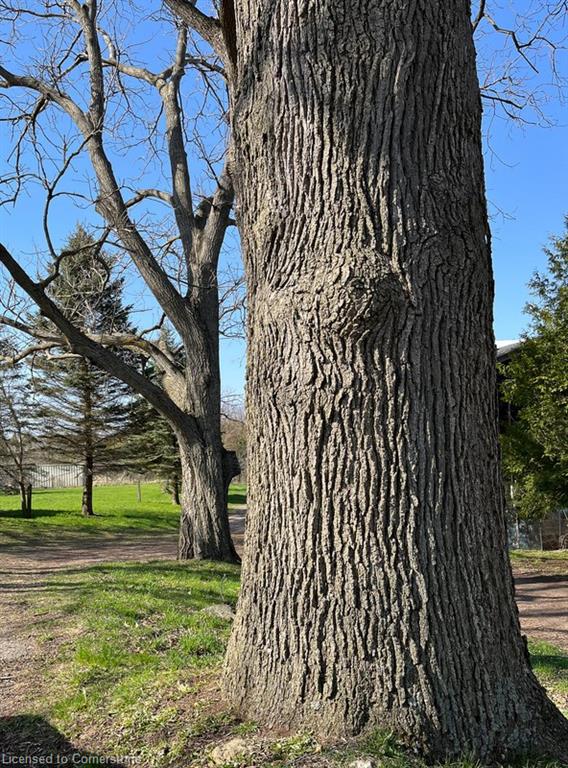 1457 97 Regional Road Property Photo 20