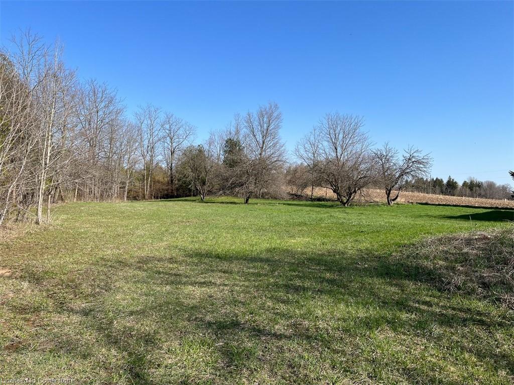 1457 97 Regional Road Property Photo 29