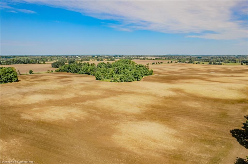 1541 Fiddlers Green Road Property Photo 12